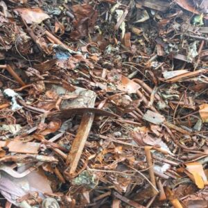 Incineration Scraps